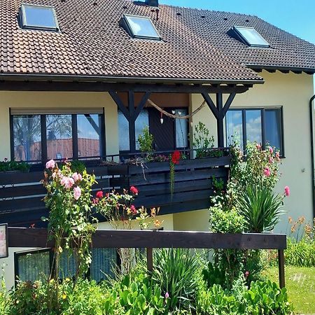 Gaestehaus Gaby Bad Bellingen Kültér fotó