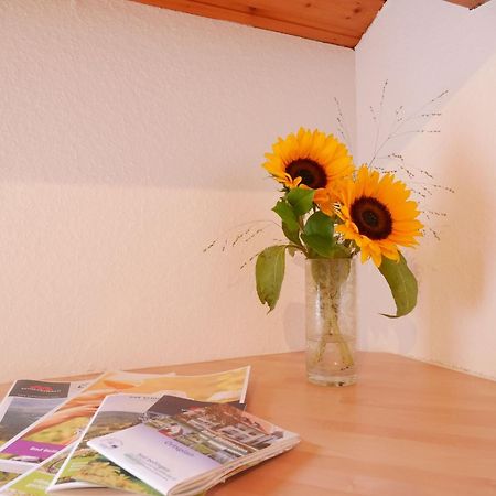 Gaestehaus Gaby Bad Bellingen Kültér fotó